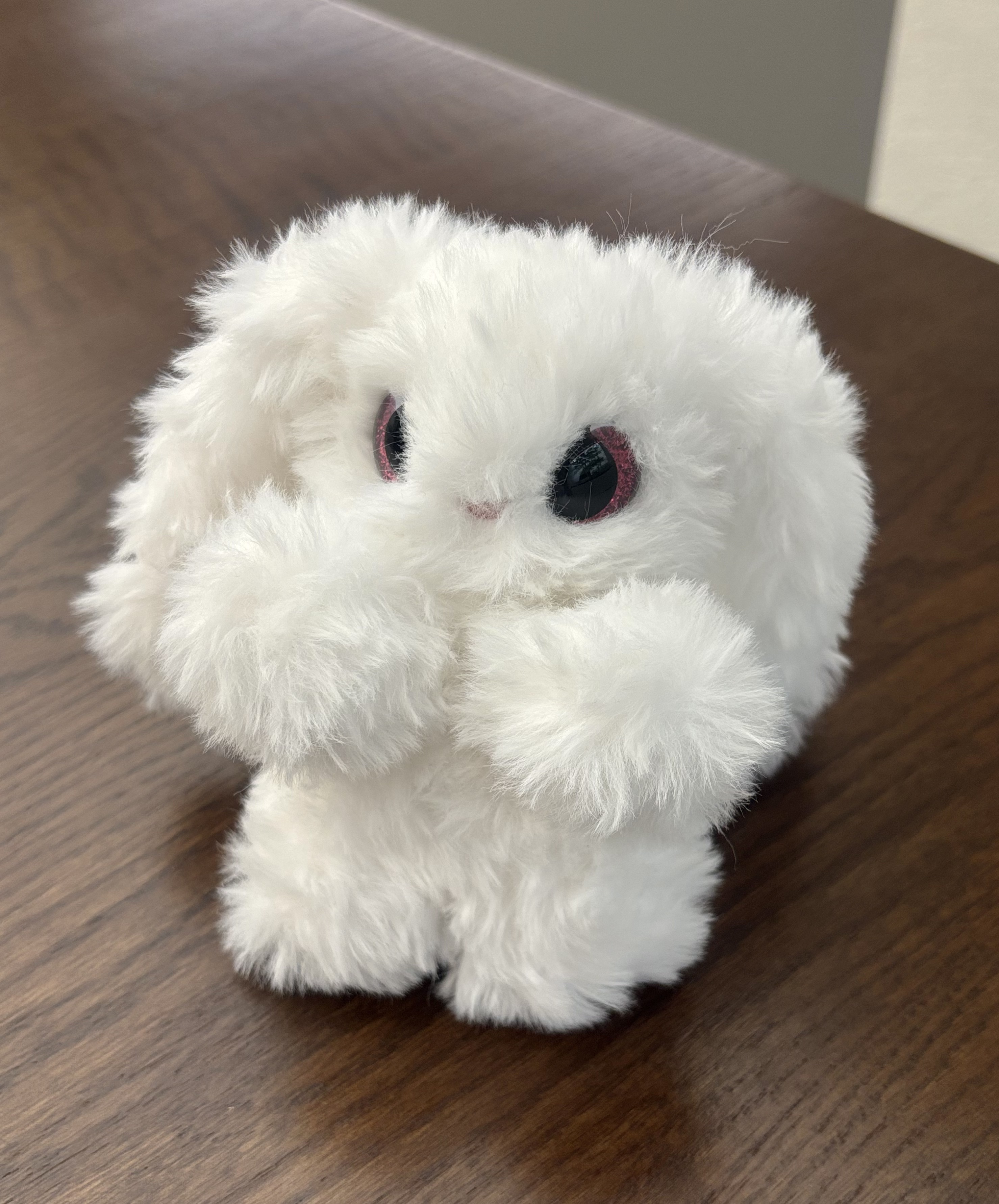 Lop Rabbit 6